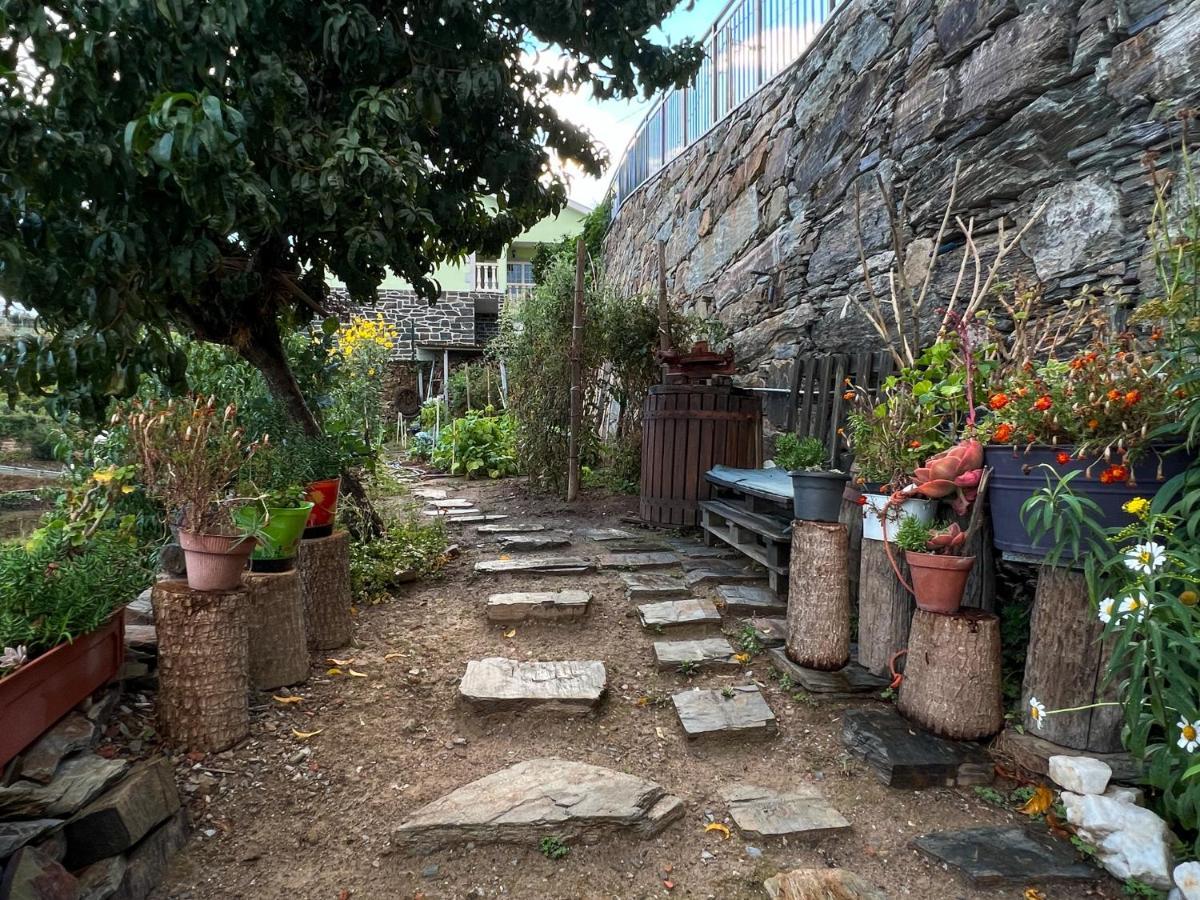 Casa De Campo Sonhos D'Ouro Ribeira  المظهر الخارجي الصورة
